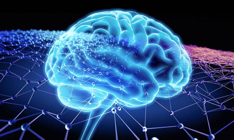brain in meditation