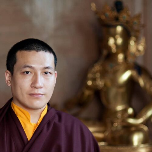 thaye dorje, his holiness the 17th gyalwa karmapa