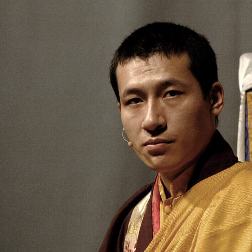 17th karmapa trinley thaye dorje