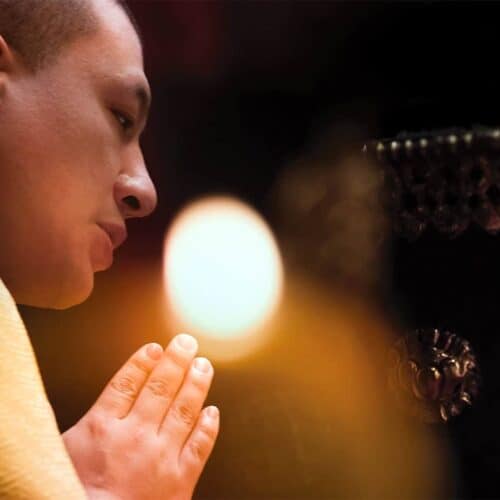 finding wealth, freedom and happiness - the 17th karmapa