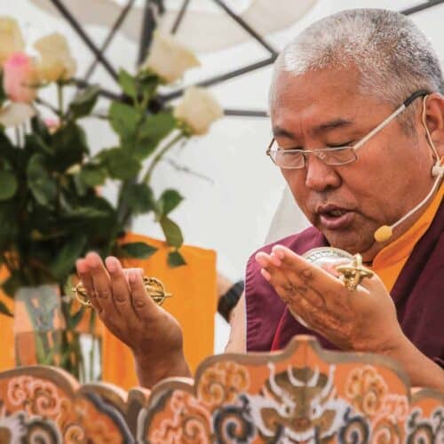 nedo rinpoche