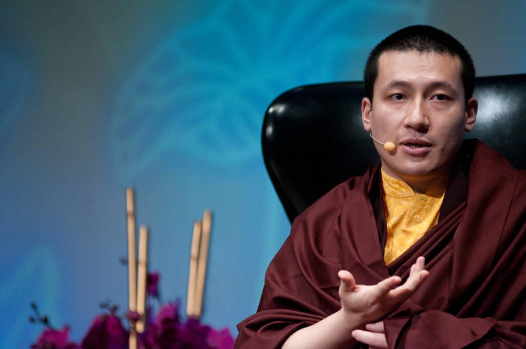 the 17th karmapa