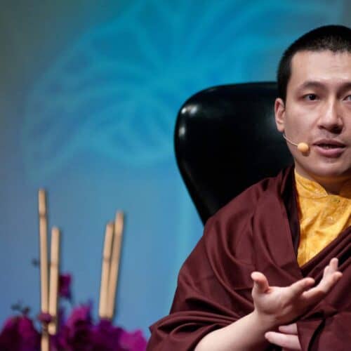the 17th karmapa