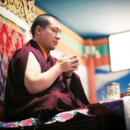 karmapa on adopting the bodhisattva mind