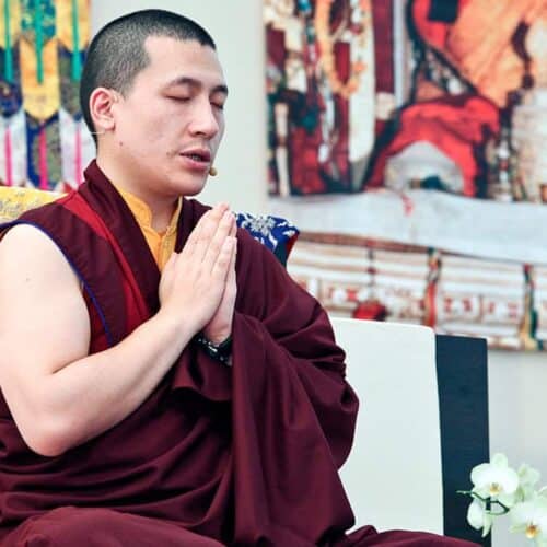 the 17th gyalwa karmapa
